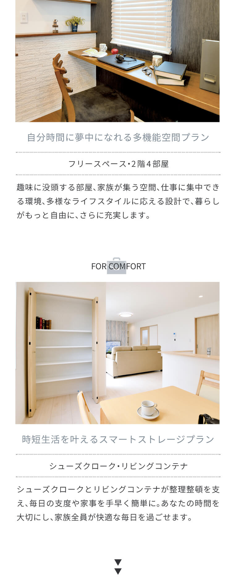 spConcept4