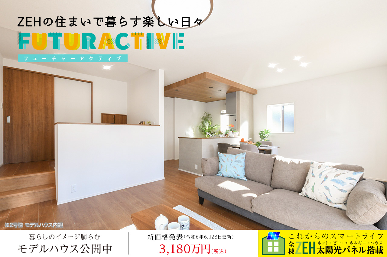 ソファー大手ハウスメーカー 建売家具