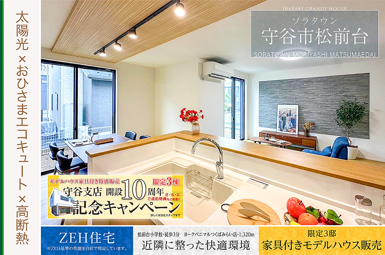 東光　綺麗です。即購OK　座ります 東光綺麗です。即購OK座ります