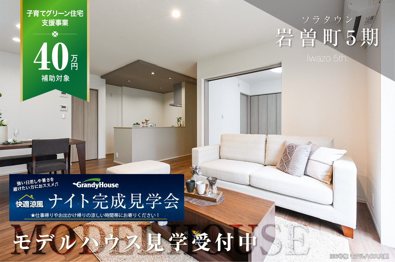 ゼンリン　栃木県　県北部エリアセット ゼンリン電子住宅地図 デジタウン 栃木県 足利市 発行年月202303
