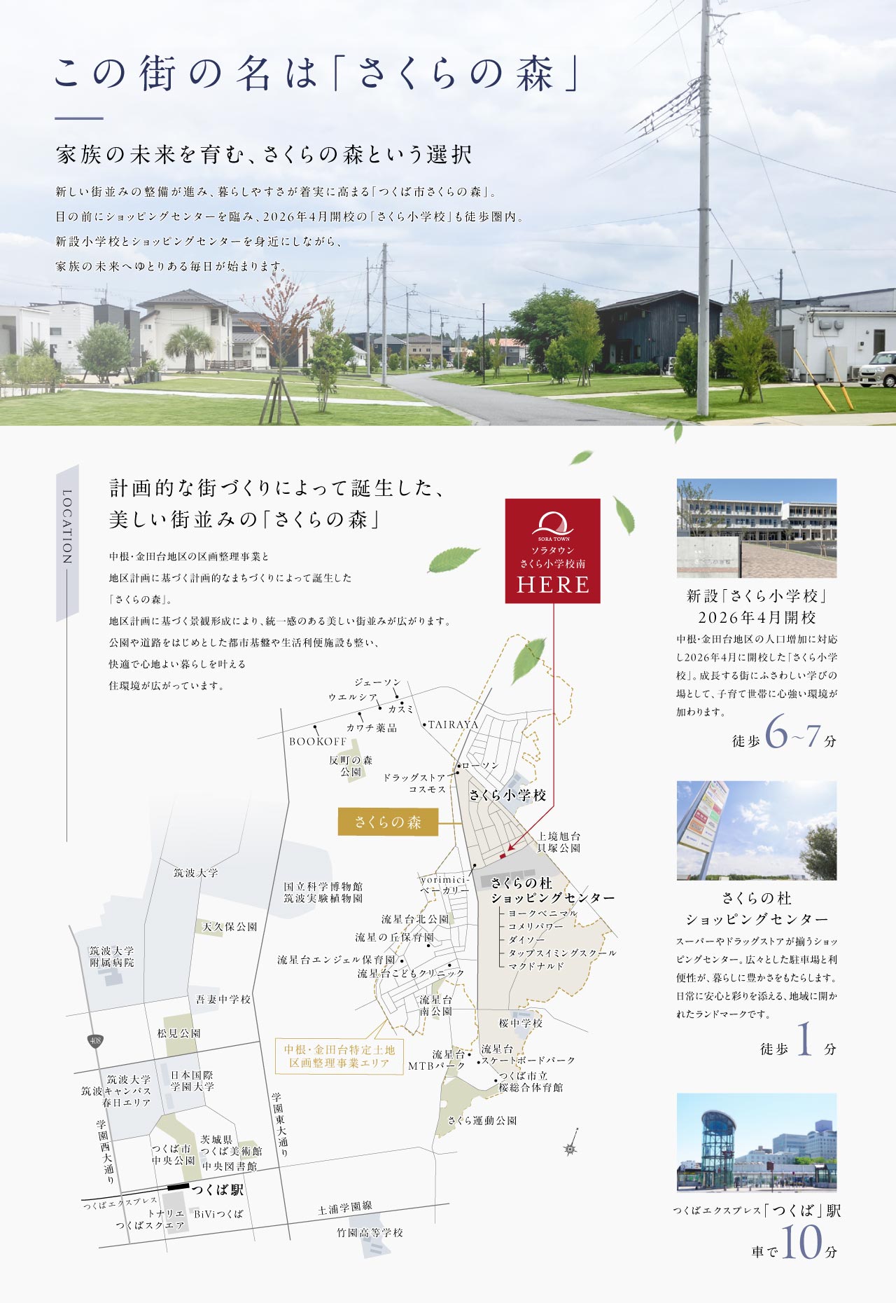 つくば市さくらの森の周辺環境