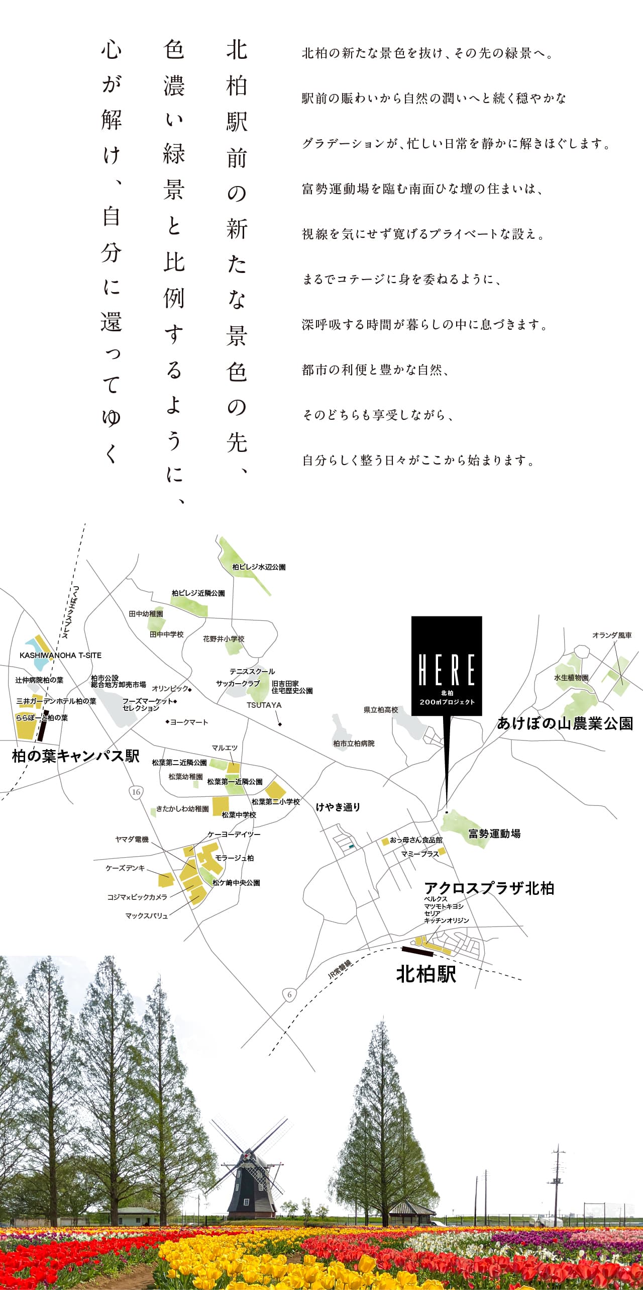 /_upload/lot/260723_PDkitakashiwa_concept_1.jpg