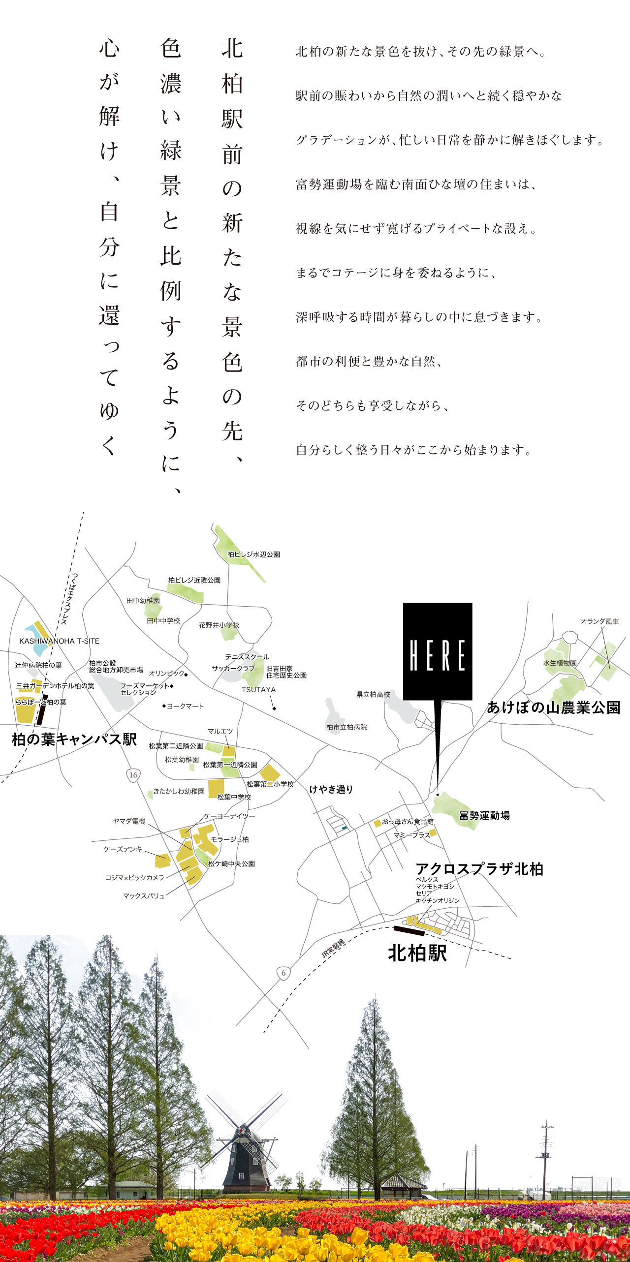 /_upload/lot/260821_pridear-kitakashiwa_concept.jpg