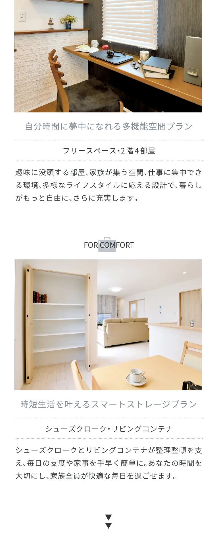 spConcept4