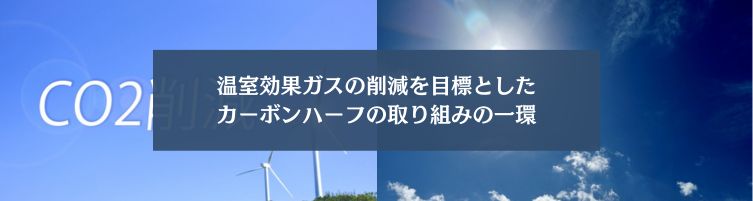 なぜ太陽光パネルの設置が義務化されたのか