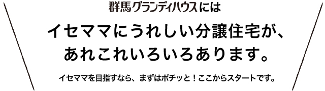 群馬グランディハウスには　イセママにうれしい分譲住宅が、あれこれいろいろあります。