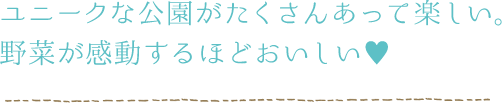 ユニークな公園がたくさんあって楽しい。野菜が感動するほどおいしい