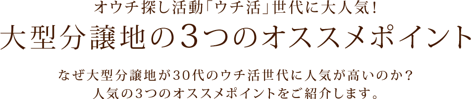 オウチ探し活動「ウチ活」世代に大人気！大型分譲地の3つのオススメポイント！なぜ大型分譲地が30代のウチ活世代に人気が高いのか？人気の3つのオススメポイントをご紹介します。