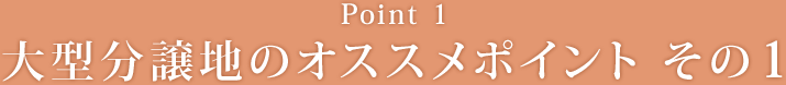 【Point1】大型分譲地のオススメポイント その1