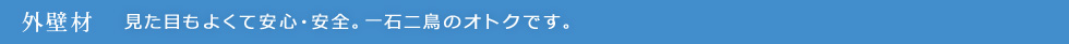 外壁材：見た目もよくて安心・安全。一石二鳥のオトクです。
