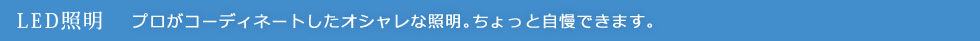 LED照明：プロがコーディネートしたオシャレな照明。ちょっと自慢できます。