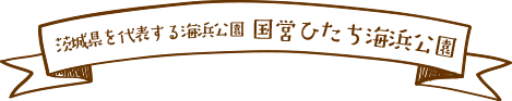 茨城県を代表する海浜公園 国営ひたち海浜公園