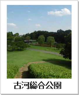 古河総合公園