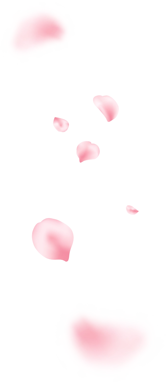 花びらイメージ