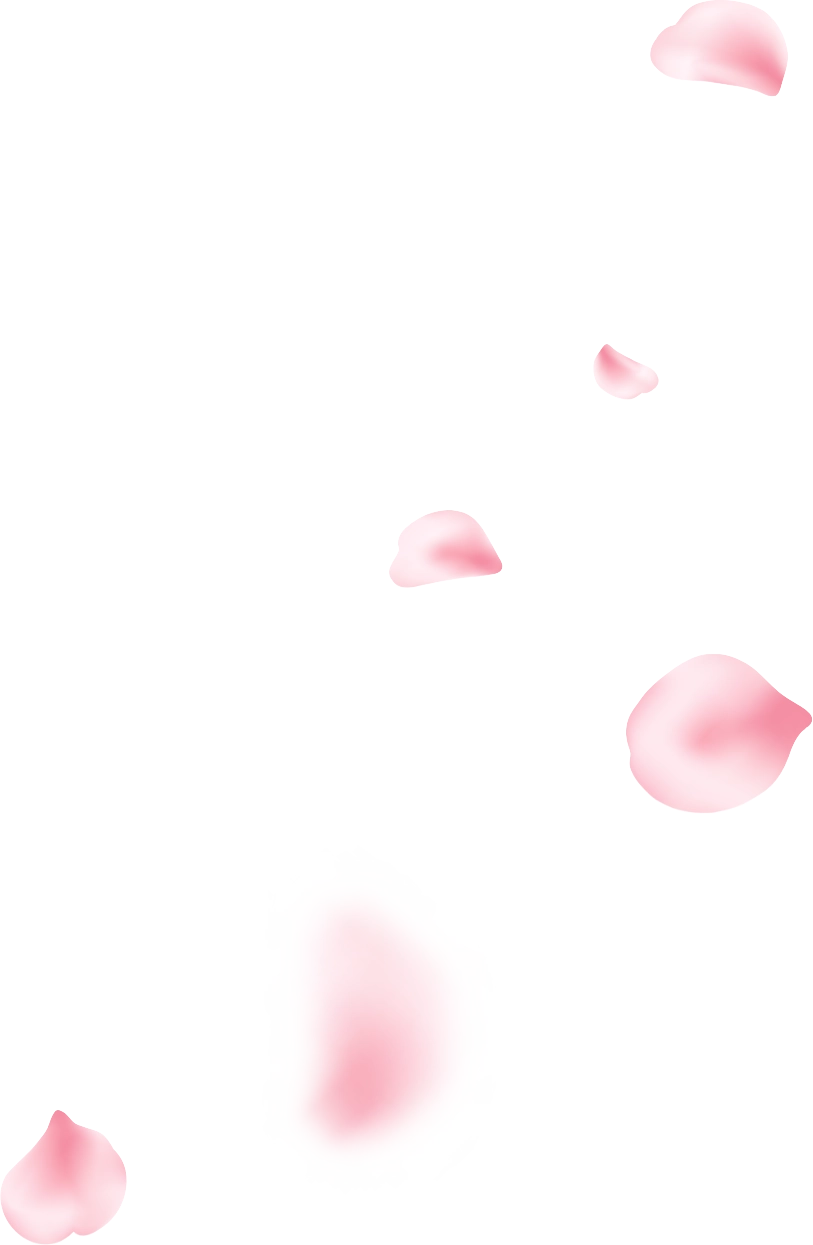 花びらイメージ