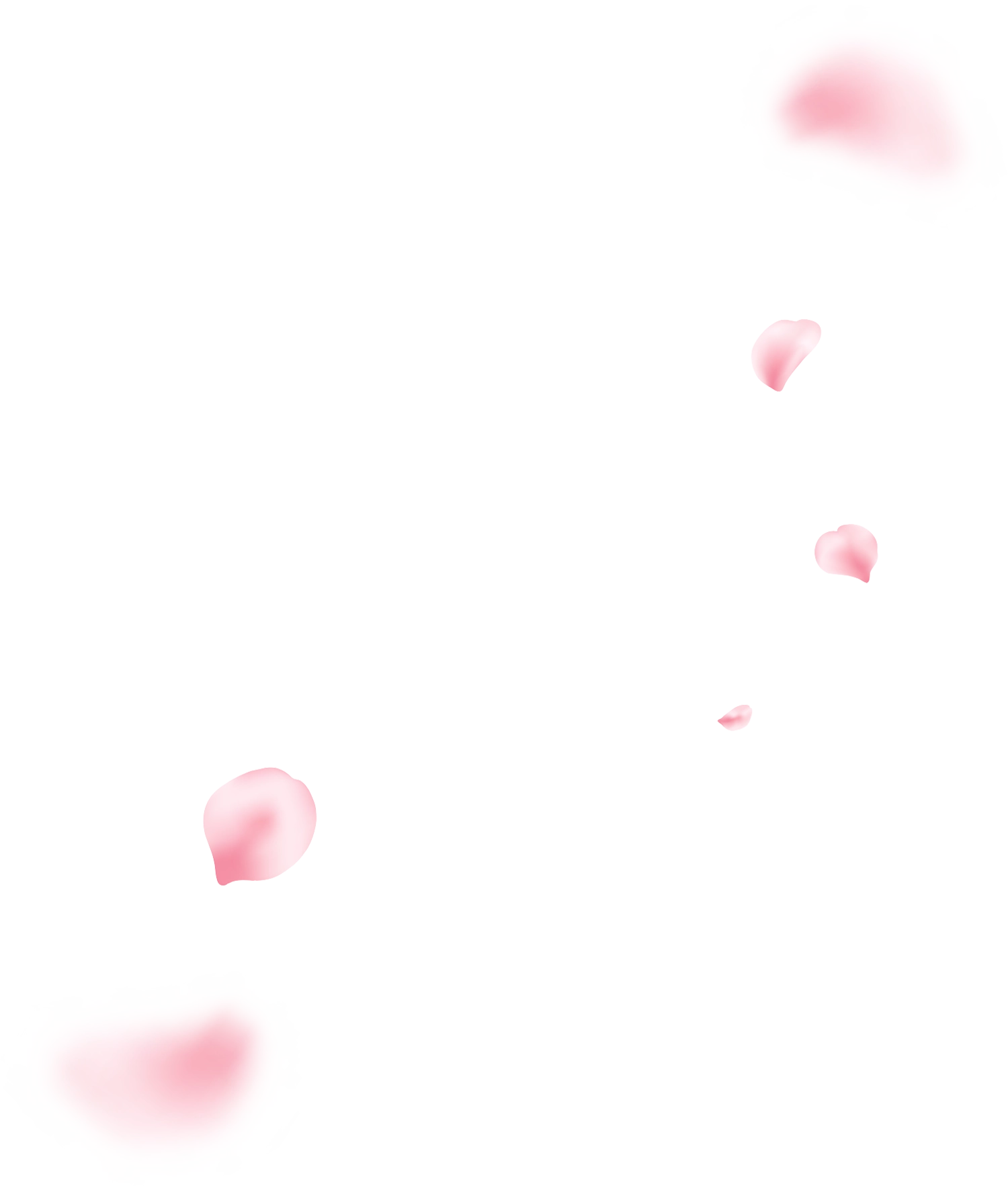 花びらイメージ